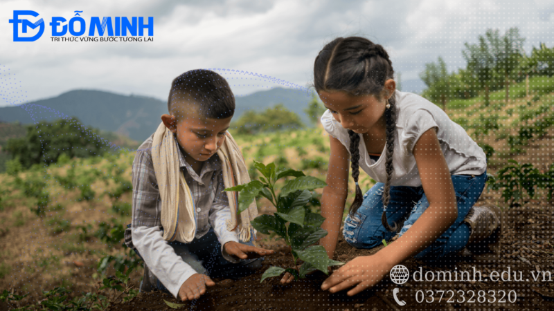 Các nhóm kỹ năng sống cho trẻ mầm non - kỹ năng trồng cây-