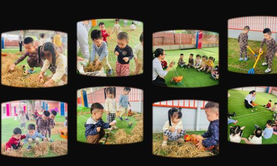 Hoạt-động-nhặt-trứng-gà